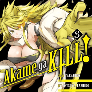EN Akame ga Kill! - Yen Press - Vol. 3 englische Ausgabe - Profil