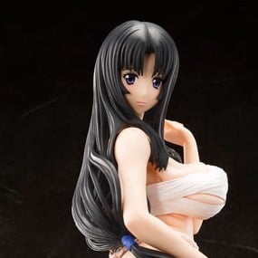 Warrior Priestess Tomoe - Genco - Queen's Blade - Profil