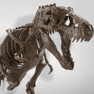 Tyrannosaurus (Imaginary Skeleton) - 1/32 Model Kit - Bandai Spirits - Profil