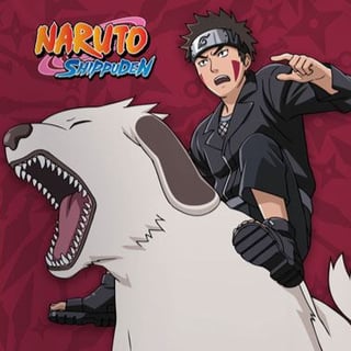 Kiba Inuzuka - Naruto Shippuden - Kissen - Pop Buddies