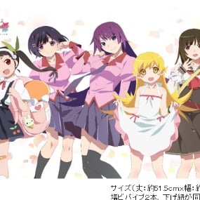 Owarimonogatari - Wallscroll - Gruppe - Profil