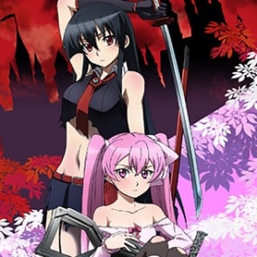 Akame & Mine - Wallscroll - Akame ga Kill - 28905 - Profil