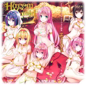 To Love Ru Darkness - Harem Gold Artbook - Profil