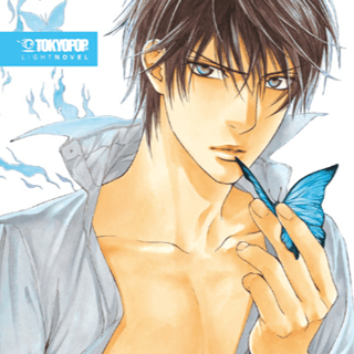 Finder no Aoen - TokyoPop - Light Novel - Profil