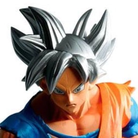 Son Goku - Ultra Instinct - Super Dragon Ball Heroes - Ichibansho - Profil