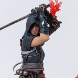 Animus Naoe - Pure Arts - Profil