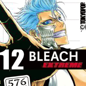 Bleach EXTREME - Toykopop - Band 012 - Profil