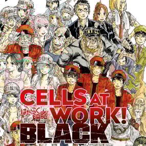 Cells at Work Black - Manga Cult - Band 2