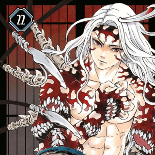 Demon Slayer - Manga Cult - Band 22