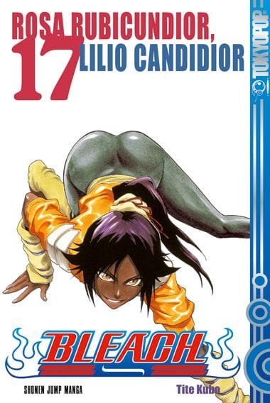 Bleach 17