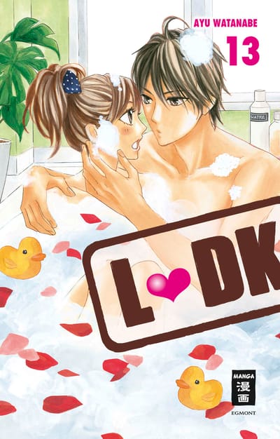 L-DK 13