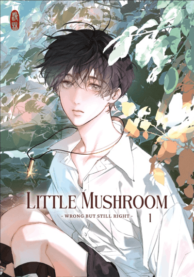 Little Mushroom - wrong but still right 1
