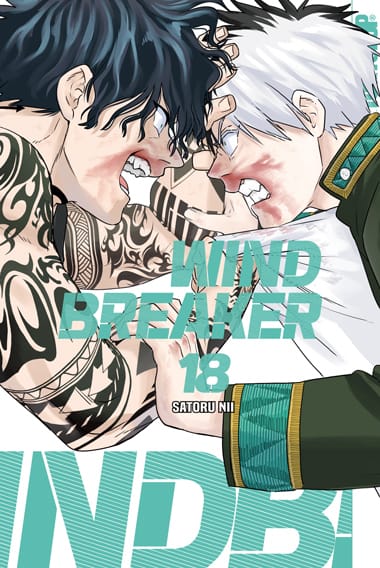 Wind Breaker 18