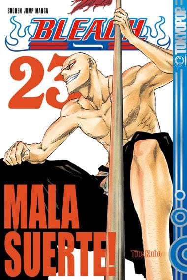 Bleach 23