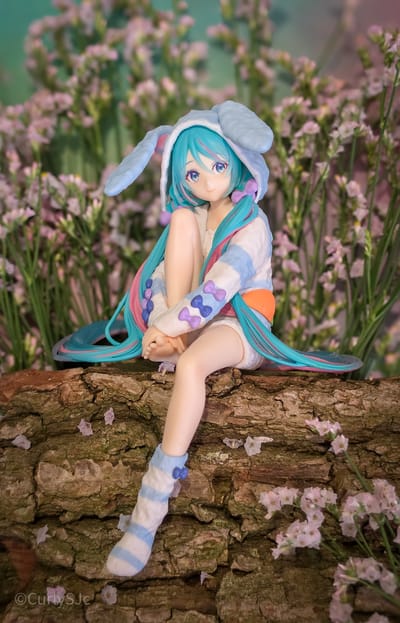 Sammlungsfoto 11