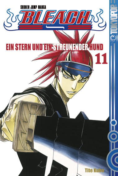 Bleach 11