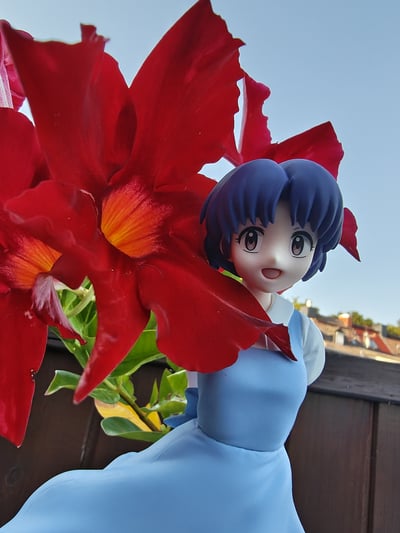 Akane Chan · Akane Tendou & P-Chan - Ranma 1/2 - Luminasta - Sega Fave