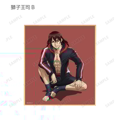 Zufällige Auswahl - Dr. Stone (Original Illustration Before Petrification Version) - Trading Mini Shikishi - Armabianca 10.jpeg