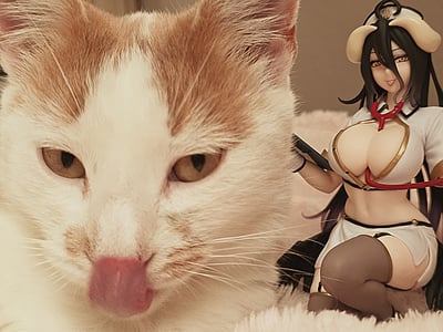 Albedo und Murmel😝🧡🤍 · Albedo - Nurse - Desktop Cute - Taito