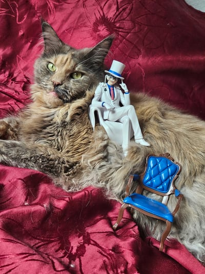 Wer braucht einen Stuhl, wenn man eine Katze haben kann? (Die mich vor Fischen rettet) 