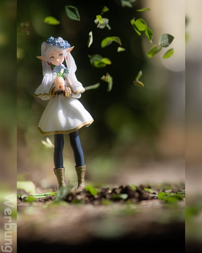 Frieren im Garten · Frieren - Flower Garden - Luminasta - Sega