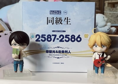 Rihito Sajo & Hikaru Kusakabe ⋆˚࿔ · Nendoroid 2586 & 2587 Set Rihito Sajo & Hikaru Kusakabe