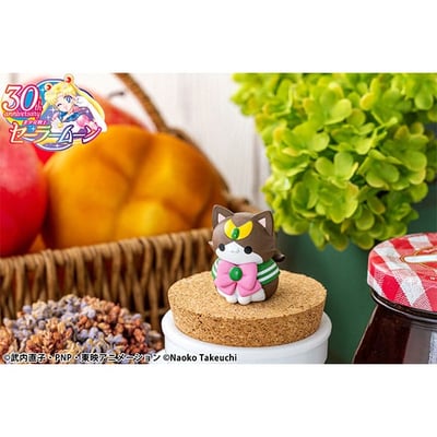 Sailor Mewn 2024 - Sailor Moon Mega Cat Project - Megahouse (8 Figuren) (11)