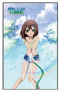 Hideyoshi Kinoshita Bettlaken - 1