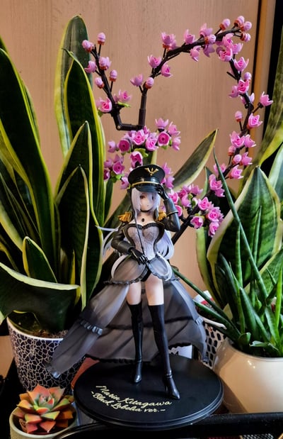 Neuzugang in meiner Sammlung 