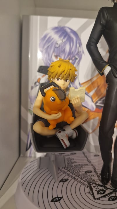 Denjis und Pochitas Neues Forever Home