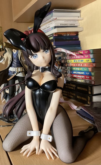 Hifumi Takimoto - 1/4 B-Style Bunny - FREEing