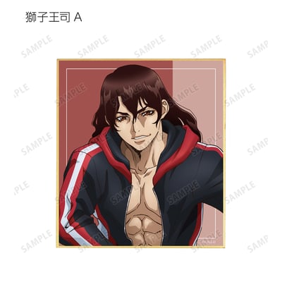 Zufällige Auswahl - Dr. Stone (Original Illustration Before Petrification Version) - Trading Mini Shikishi - Armabianca 5.jpeg