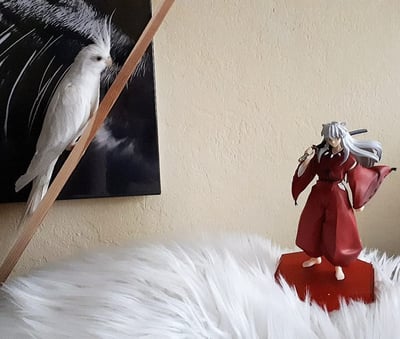 Ist ein Juwelensplitter in der Hirse, oder was sucht Inuyasha hier?