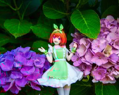 Photoshoot with Yotsuba