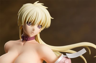 Shiin (Sheen) Hari - Orchid Seed - 7