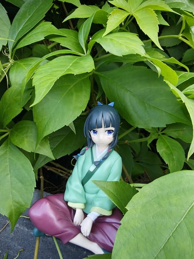 Maomao · Maomao - Die Tagebücher der Apothekerin - Break Time Collection Vol. 1 - Banpresto