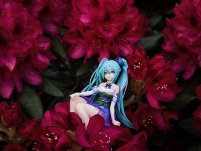 Nach dem Regen 🌧️ — Hatsune Miku - Flower Fairy Morning Glory - Noodle Stopper - Furyu
