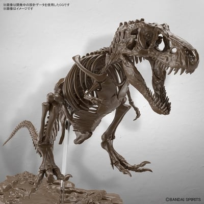 Tyrannosaurus (Imaginary Skeleton) - 1/32 Model Kit - Bandai Spirits (1)