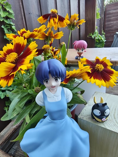 Akane · Akane Tendou & P-Chan - Ranma 1/2 - Luminasta - Sega Fave