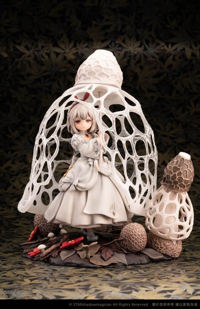 Dictyophora Indusiata (Tropische Schleierdame)- The Mushroom Girls - Reverse Studio (3)