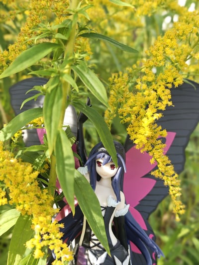 Kuroyukihime · Kuroyukihime - Fighting Climax