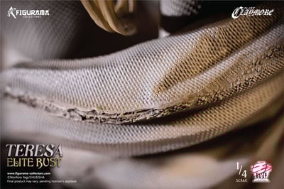 Teresa - Claymore Elite Bust Series - Figurama Collectors (11).jpg