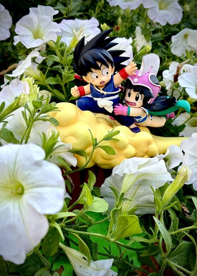 Son Goku & Chi-Chi - Dragon Ball - Fantastic Adventure 2 - Ichibansho