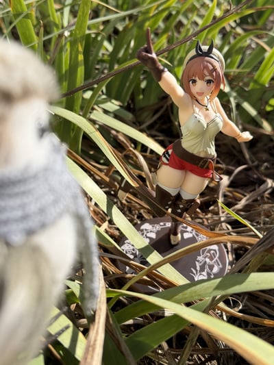 Ryza auf Erkundungstour