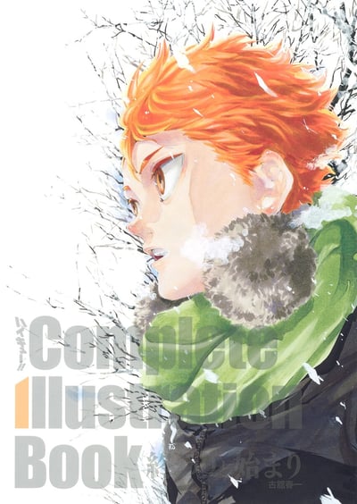 Haikyu! Komplettes Illustrationsbuch Owari to Hajimari - Artbook - Japanische Ausgabe - Shueisha 2.jpeg