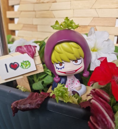 Corazons Garten · Corazon - One Piece Look Up - Megahouse