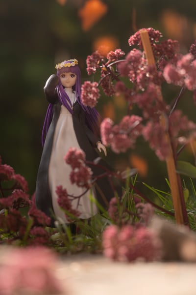 Fern im Herbst · Fern - Flower Garden - Luminasta - Sega