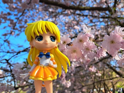 Eternal Sailor Venus / Minako Aino - Sailor Moon QPosket