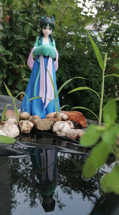 The Frog is coming ;}  · Maomao - Hunting Dress - Vivit Figure - System Service