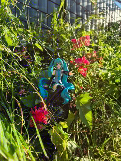 Die Königin im Garten! :3